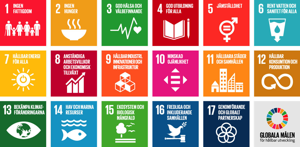 FNs 17 Globala mål
